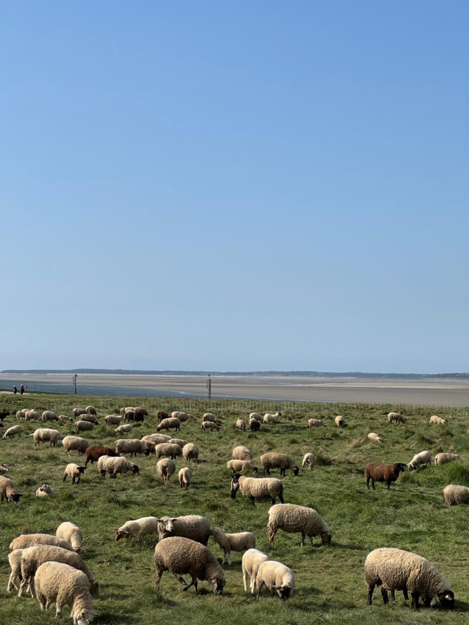 Gite Du Flot - Baie De Somme Boismont  Exteriör bild